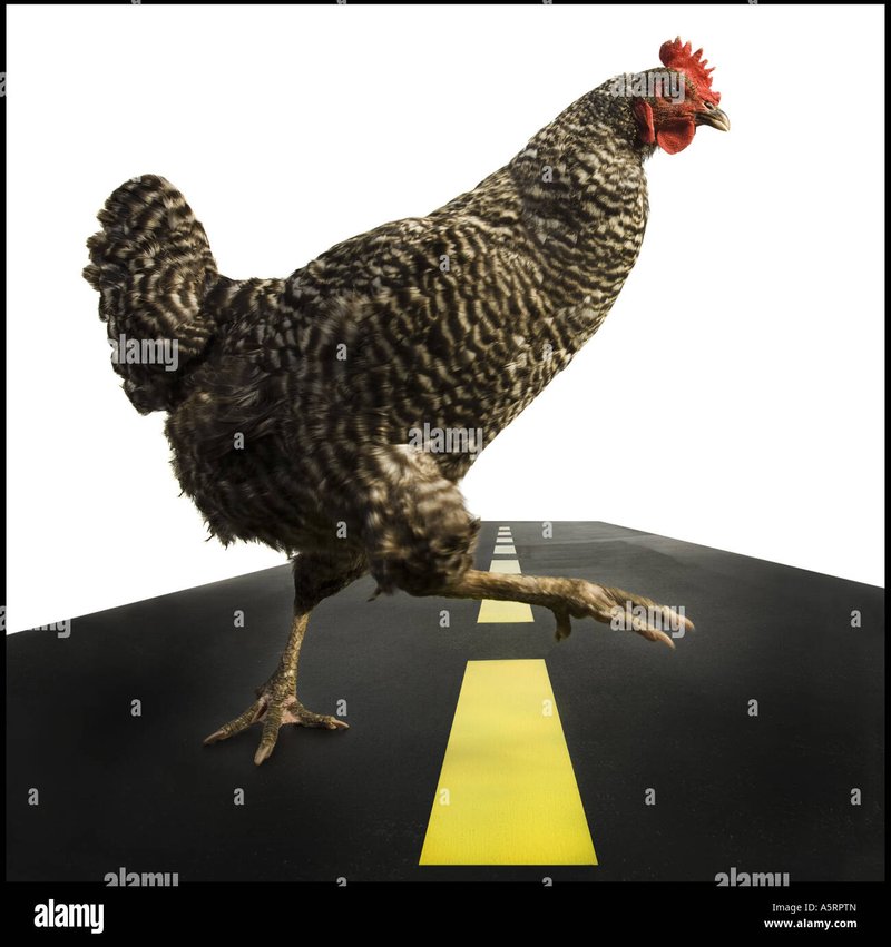 En savoir plus sur jeu chicken road 2 En savoir plus sur jeu chicken road 2